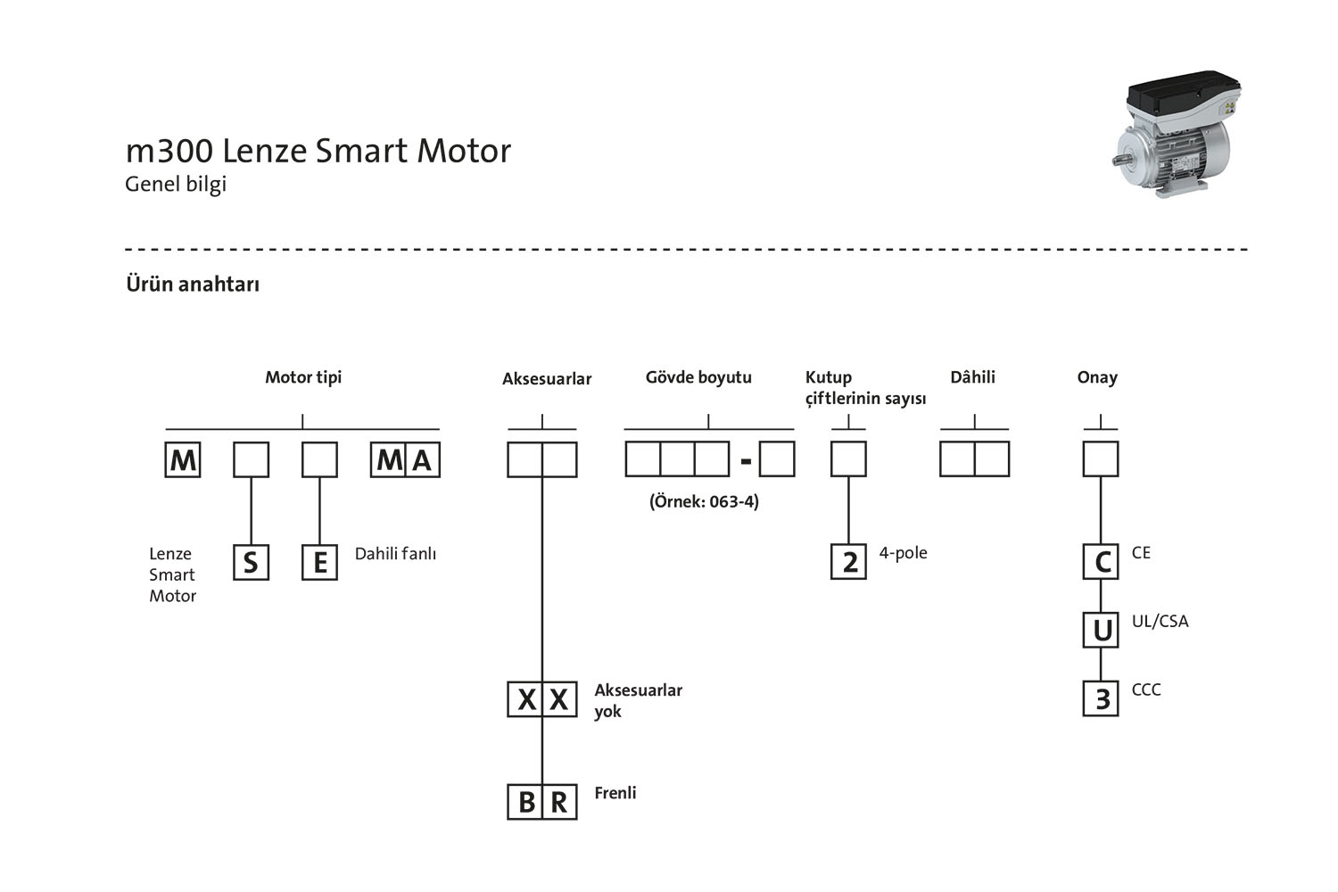 Smart motor Lenze AC motor özellikleri